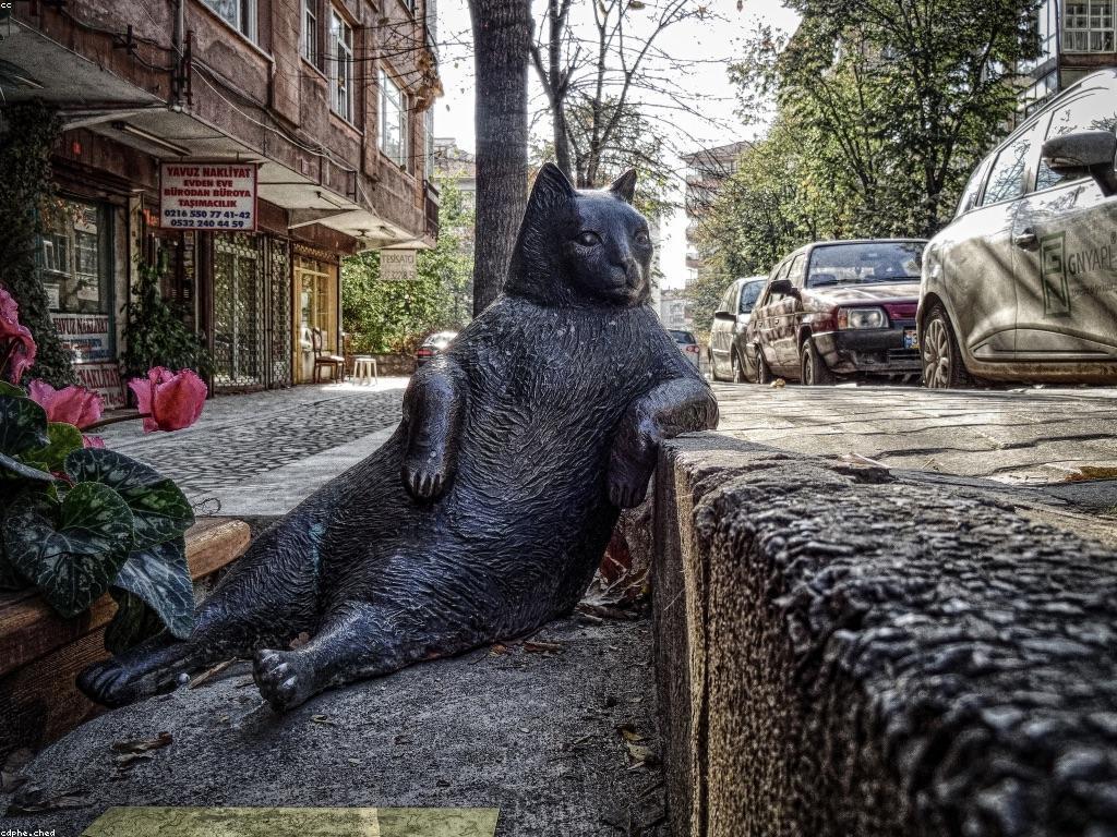 ការគ្រប់គ្រងខ្លួនឯងសម្រាប់ស្លតរាល់ថ្ងៃ