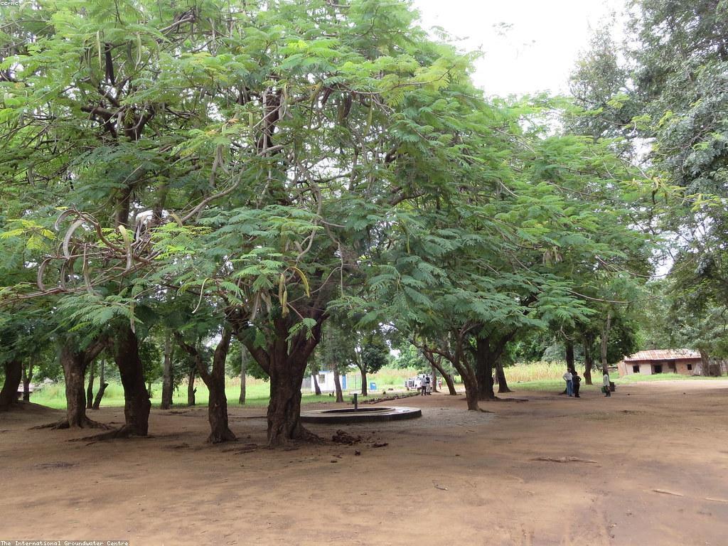 សារៈសំខាន់នៃការវាយតម្លៃ